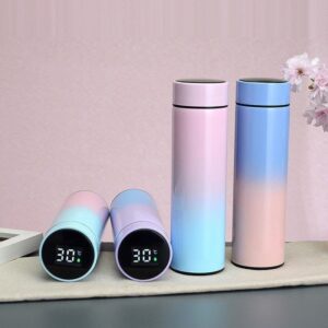Temperature bottle