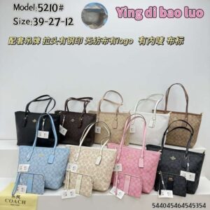 2in1 stock coach bag