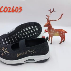 Angel footwears